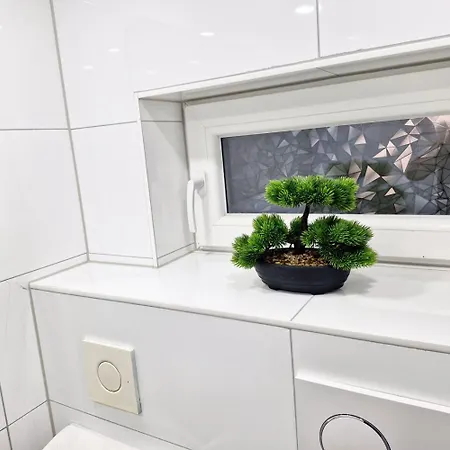 Beautiful In Apartamento